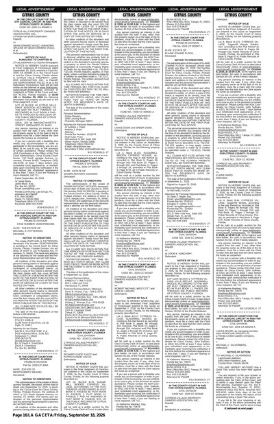 PDF Preview